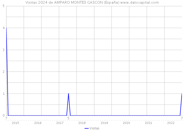 Visitas 2024 de AMPARO MONTES GASCON (España) 