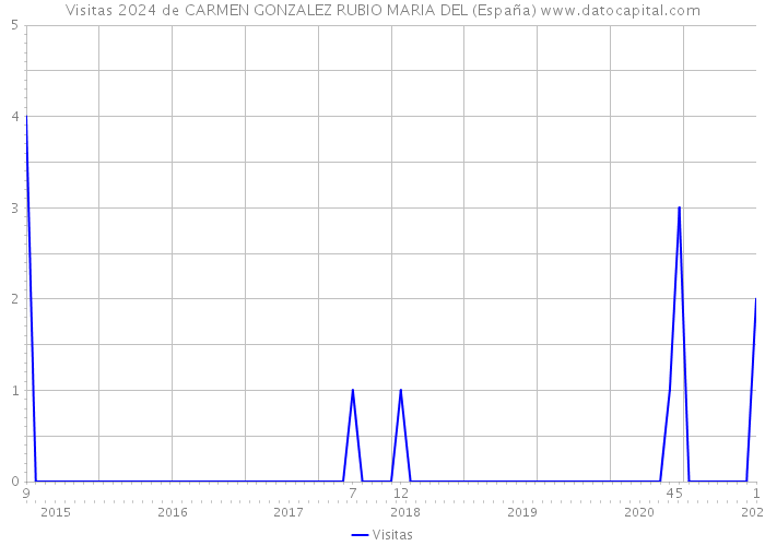Visitas 2024 de CARMEN GONZALEZ RUBIO MARIA DEL (España) 