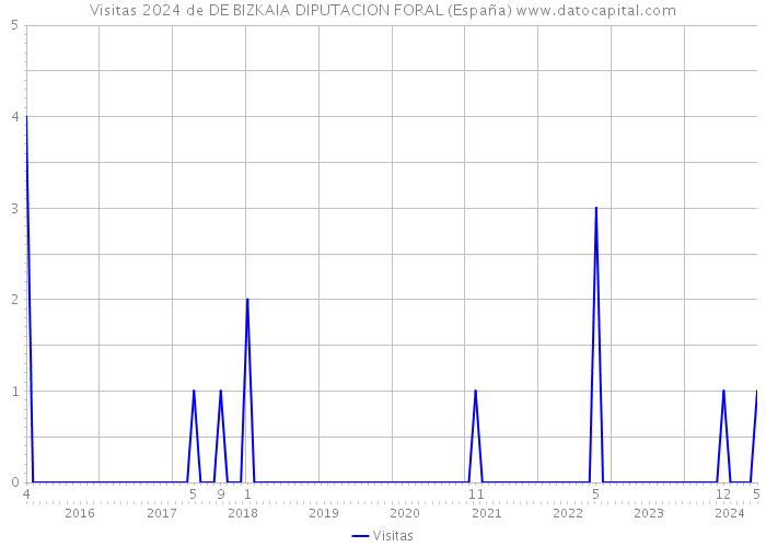 Visitas 2024 de DE BIZKAIA DIPUTACION FORAL (España) 