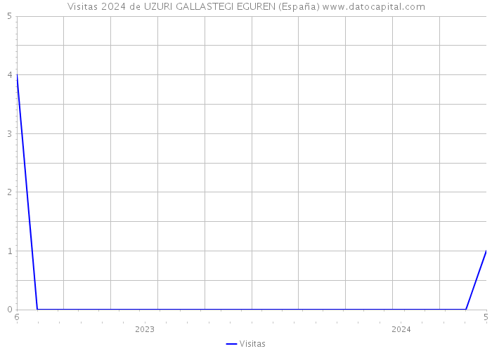 Visitas 2024 de UZURI GALLASTEGI EGUREN (España) 