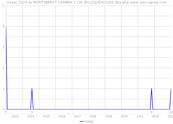 Visitas 2024 de MONTSERRAT CAMBRA Y CIA (EN LIQUIDACION) (España) 