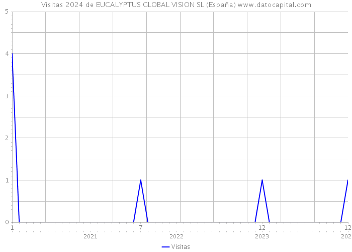 Visitas 2024 de EUCALYPTUS GLOBAL VISION SL (España) 