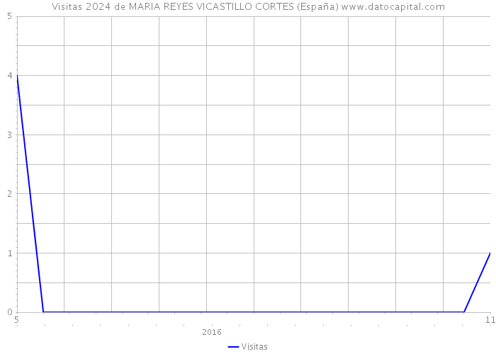 Visitas 2024 de MARIA REYES VICASTILLO CORTES (España) 