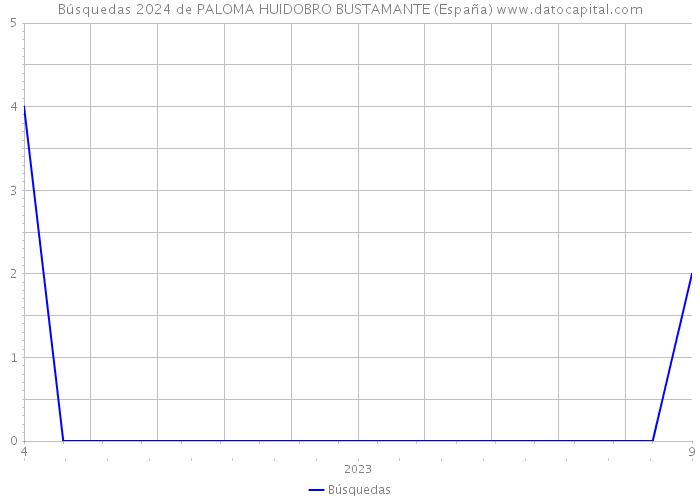 Búsquedas 2024 de PALOMA HUIDOBRO BUSTAMANTE (España) 