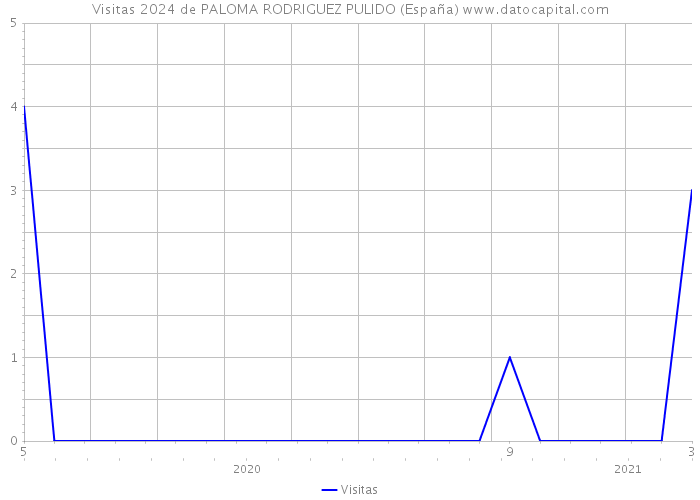 Visitas 2024 de PALOMA RODRIGUEZ PULIDO (España) 