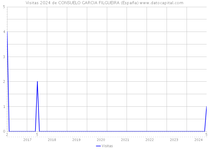 Visitas 2024 de CONSUELO GARCIA FILGUEIRA (España) 