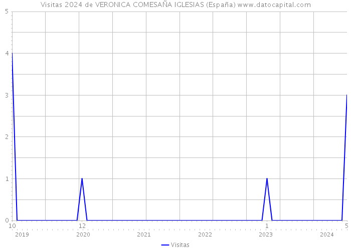 Visitas 2024 de VERONICA COMESAÑA IGLESIAS (España) 
