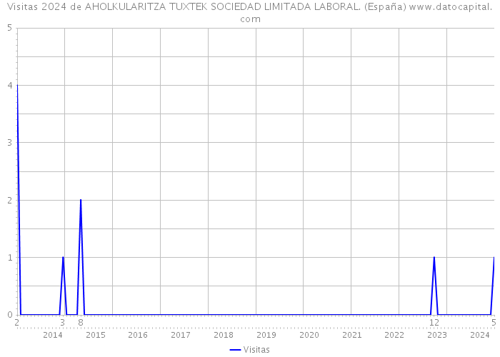Visitas 2024 de AHOLKULARITZA TUXTEK SOCIEDAD LIMITADA LABORAL. (España) 