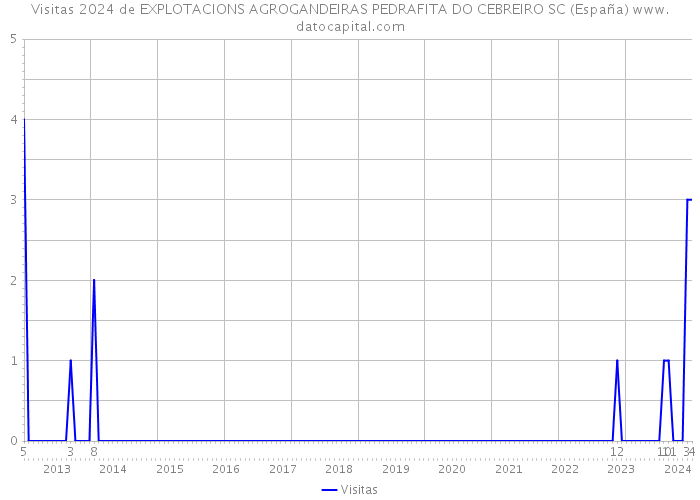 Visitas 2024 de EXPLOTACIONS AGROGANDEIRAS PEDRAFITA DO CEBREIRO SC (España) 