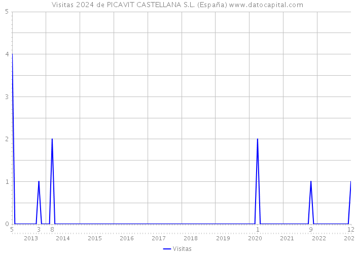 Visitas 2024 de PICAVIT CASTELLANA S.L. (España) 