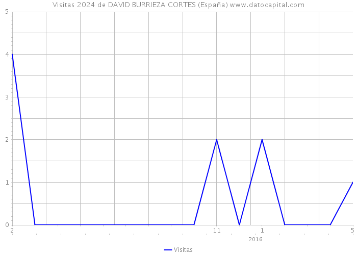 Visitas 2024 de DAVID BURRIEZA CORTES (España) 