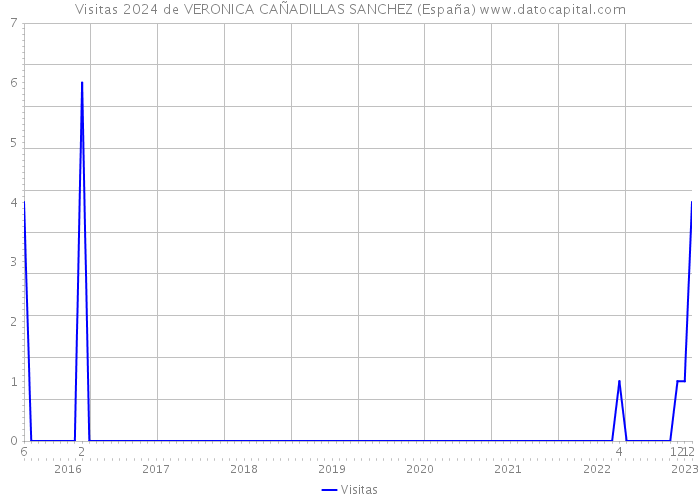 Visitas 2024 de VERONICA CAÑADILLAS SANCHEZ (España) 