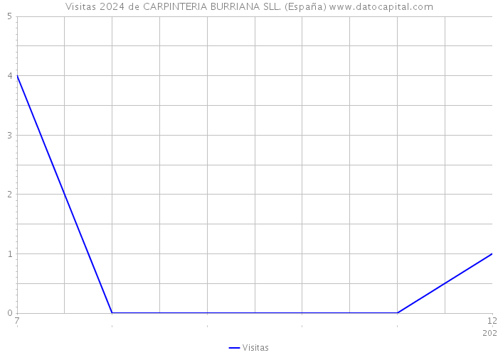 Visitas 2024 de CARPINTERIA BURRIANA SLL. (España) 