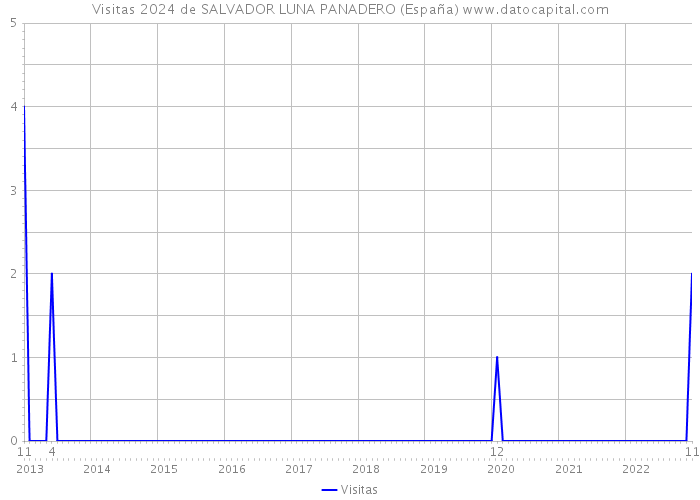 Visitas 2024 de SALVADOR LUNA PANADERO (España) 