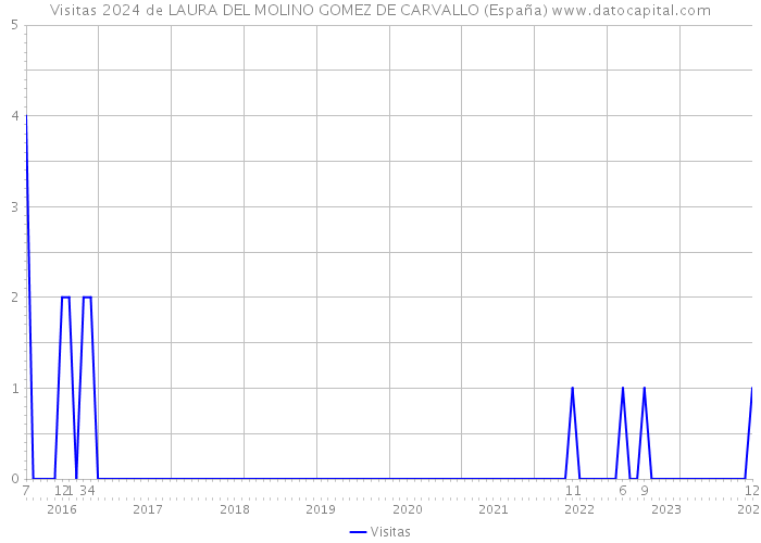 Visitas 2024 de LAURA DEL MOLINO GOMEZ DE CARVALLO (España) 