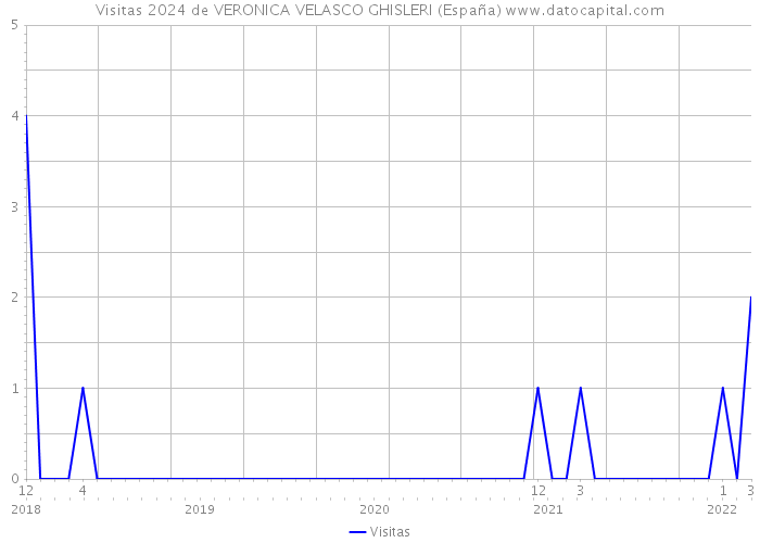 Visitas 2024 de VERONICA VELASCO GHISLERI (España) 