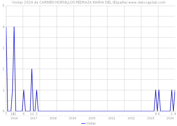 Visitas 2024 de CARMEN HORNILLOS PEDRAZA MARIA DEL (España) 