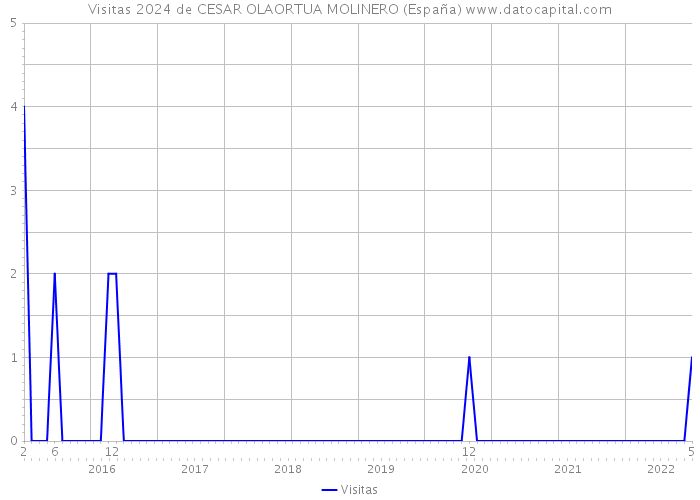 Visitas 2024 de CESAR OLAORTUA MOLINERO (España) 