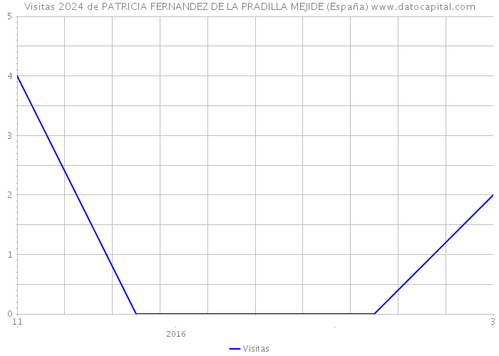 Visitas 2024 de PATRICIA FERNANDEZ DE LA PRADILLA MEJIDE (España) 