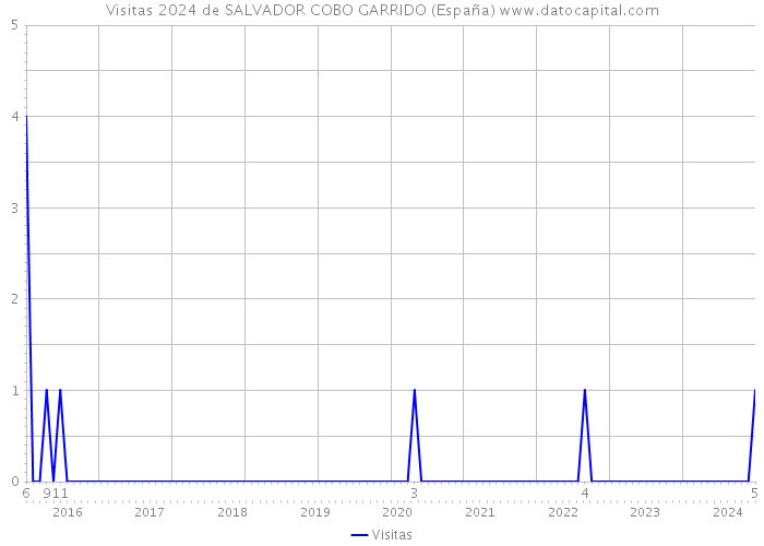 Visitas 2024 de SALVADOR COBO GARRIDO (España) 