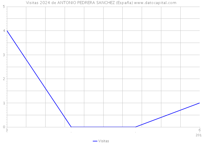 Visitas 2024 de ANTONIO PEDRERA SANCHEZ (España) 