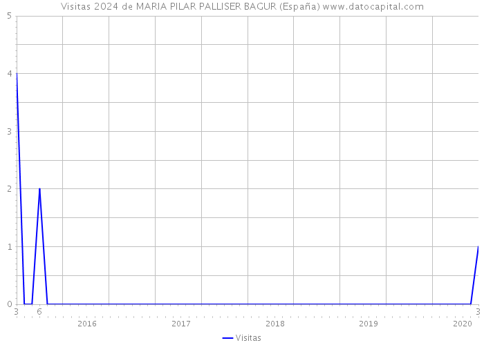 Visitas 2024 de MARIA PILAR PALLISER BAGUR (España) 