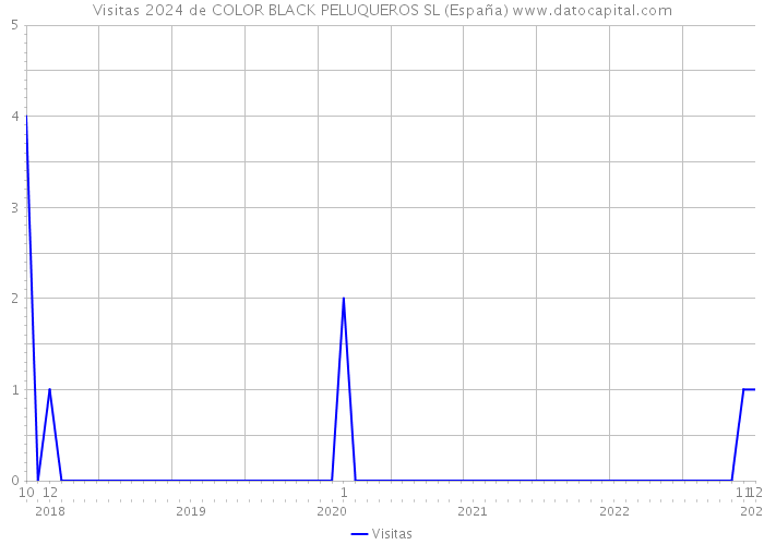 Visitas 2024 de COLOR BLACK PELUQUEROS SL (España) 