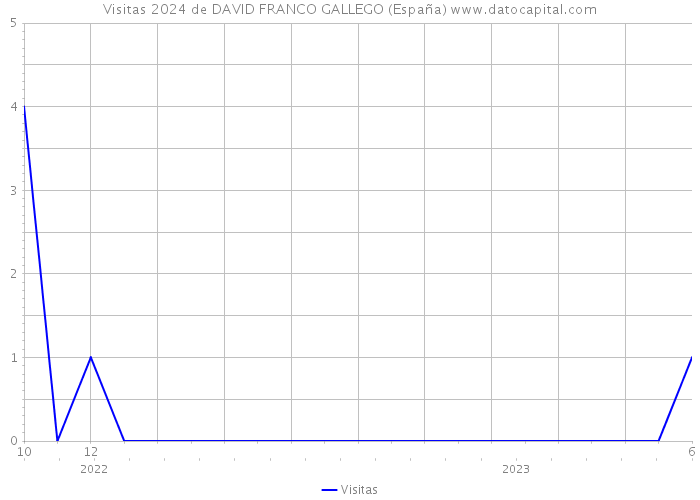 Visitas 2024 de DAVID FRANCO GALLEGO (España) 