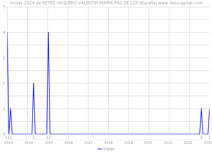 Visitas 2024 de REYES VAQUERO VALENTIN MARIA PAZ DE LOS (España) 