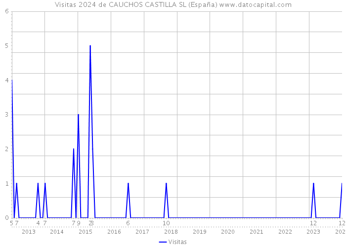 Visitas 2024 de CAUCHOS CASTILLA SL (España) 
