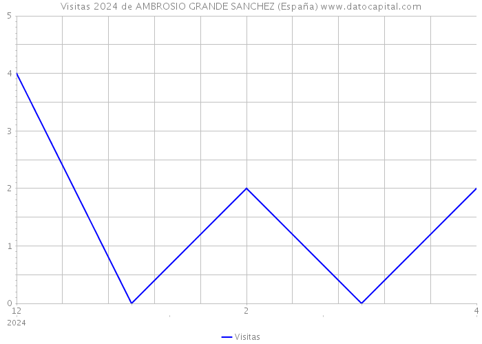 Visitas 2024 de AMBROSIO GRANDE SANCHEZ (España) 