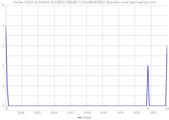 Visitas 2024 de MARIA EUGENIA MELERO COLMENAREJO (España) 
