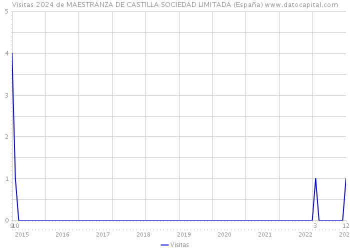 Visitas 2024 de MAESTRANZA DE CASTILLA SOCIEDAD LIMITADA (España) 