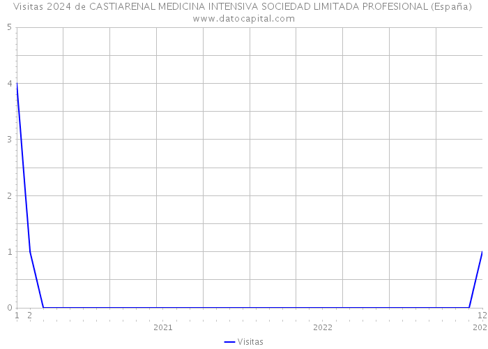 Visitas 2024 de CASTIARENAL MEDICINA INTENSIVA SOCIEDAD LIMITADA PROFESIONAL (España) 