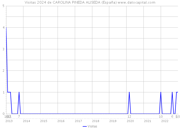 Visitas 2024 de CAROLINA PINEDA ALISEDA (España) 