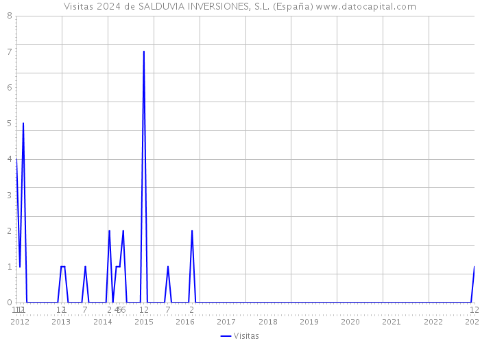 Visitas 2024 de SALDUVIA INVERSIONES, S.L. (España) 