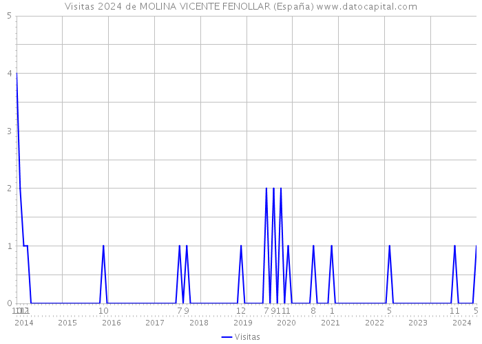 Visitas 2024 de MOLINA VICENTE FENOLLAR (España) 