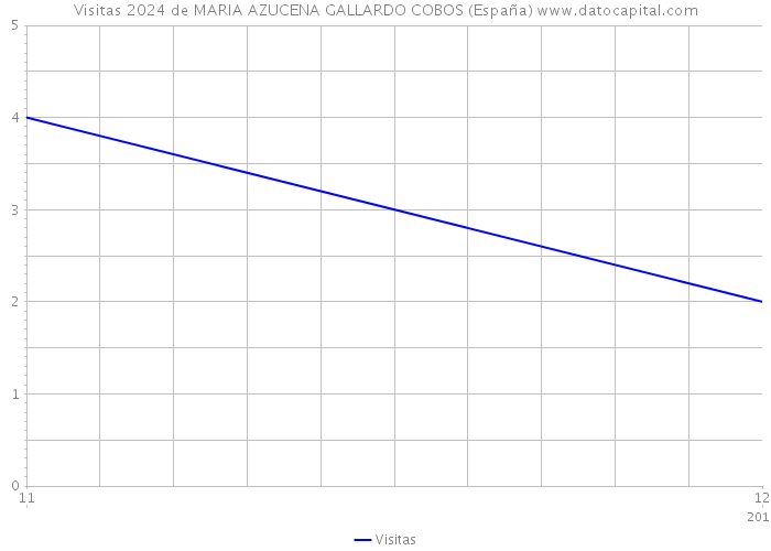 Visitas 2024 de MARIA AZUCENA GALLARDO COBOS (España) 