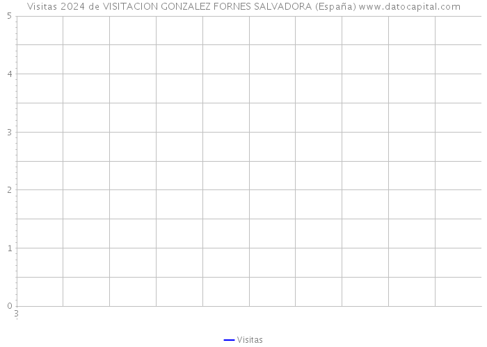 Visitas 2024 de VISITACION GONZALEZ FORNES SALVADORA (España) 