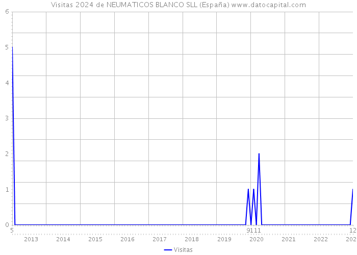 Visitas 2024 de NEUMATICOS BLANCO SLL (España) 