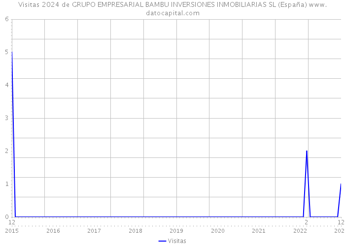 Visitas 2024 de GRUPO EMPRESARIAL BAMBU INVERSIONES INMOBILIARIAS SL (España) 