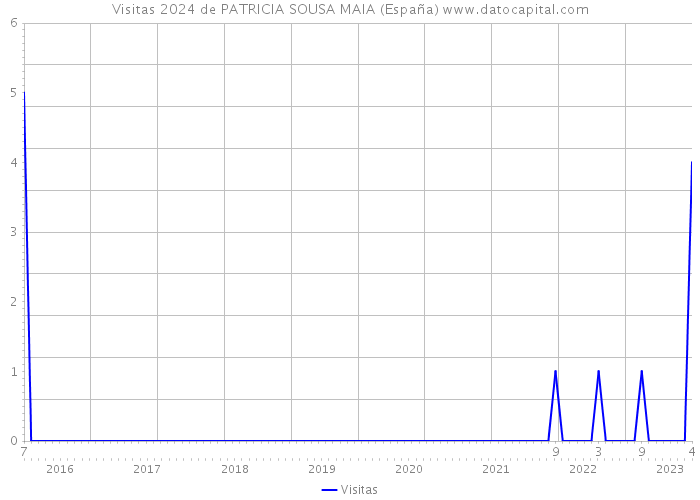 Visitas 2024 de PATRICIA SOUSA MAIA (España) 