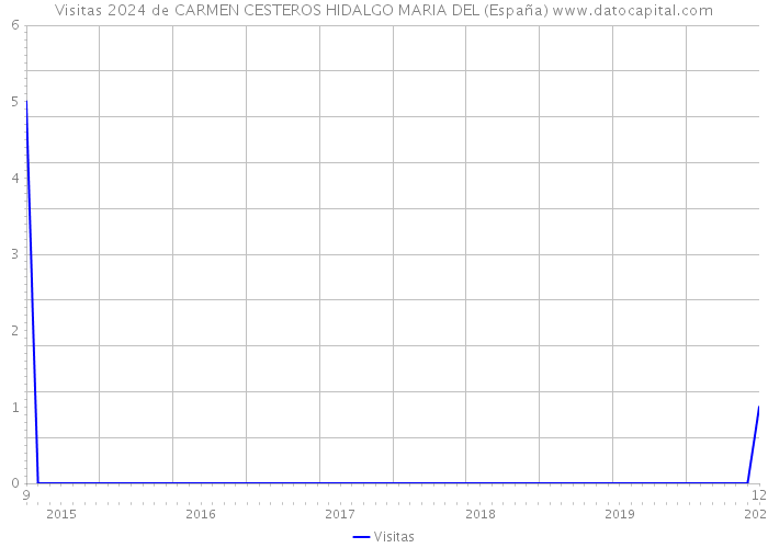 Visitas 2024 de CARMEN CESTEROS HIDALGO MARIA DEL (España) 
