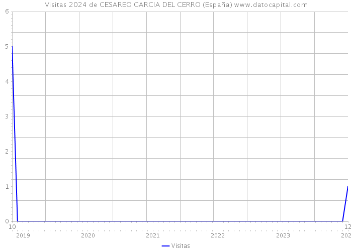 Visitas 2024 de CESAREO GARCIA DEL CERRO (España) 