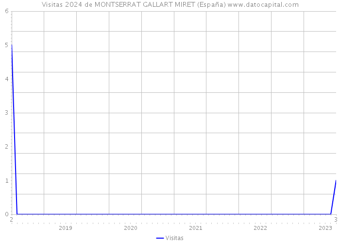Visitas 2024 de MONTSERRAT GALLART MIRET (España) 