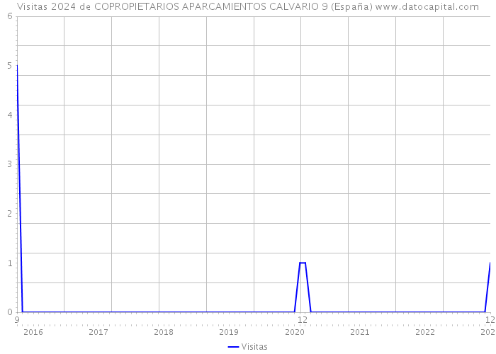 Visitas 2024 de COPROPIETARIOS APARCAMIENTOS CALVARIO 9 (España) 
