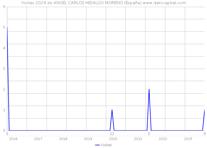 Visitas 2024 de ANGEL CARLOS HIDALGO MORENO (España) 