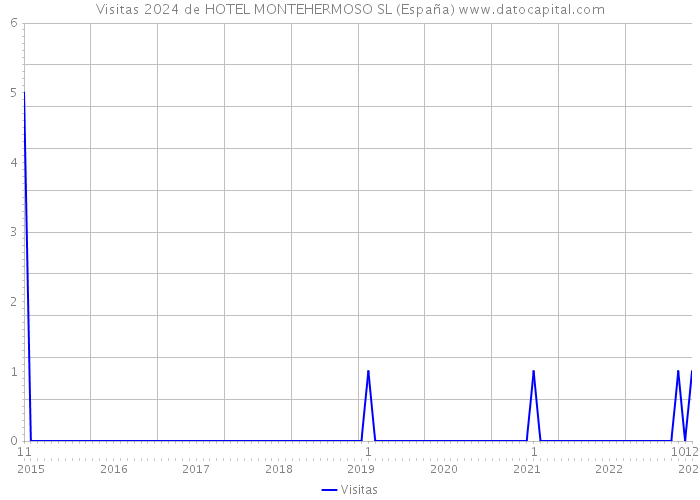 Visitas 2024 de HOTEL MONTEHERMOSO SL (España) 