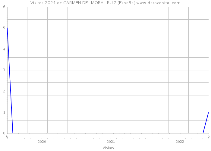 Visitas 2024 de CARMEN DEL MORAL RUIZ (España) 