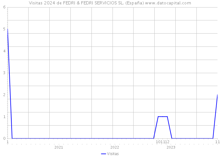 Visitas 2024 de FEDRI & FEDRI SERVICIOS SL. (España) 